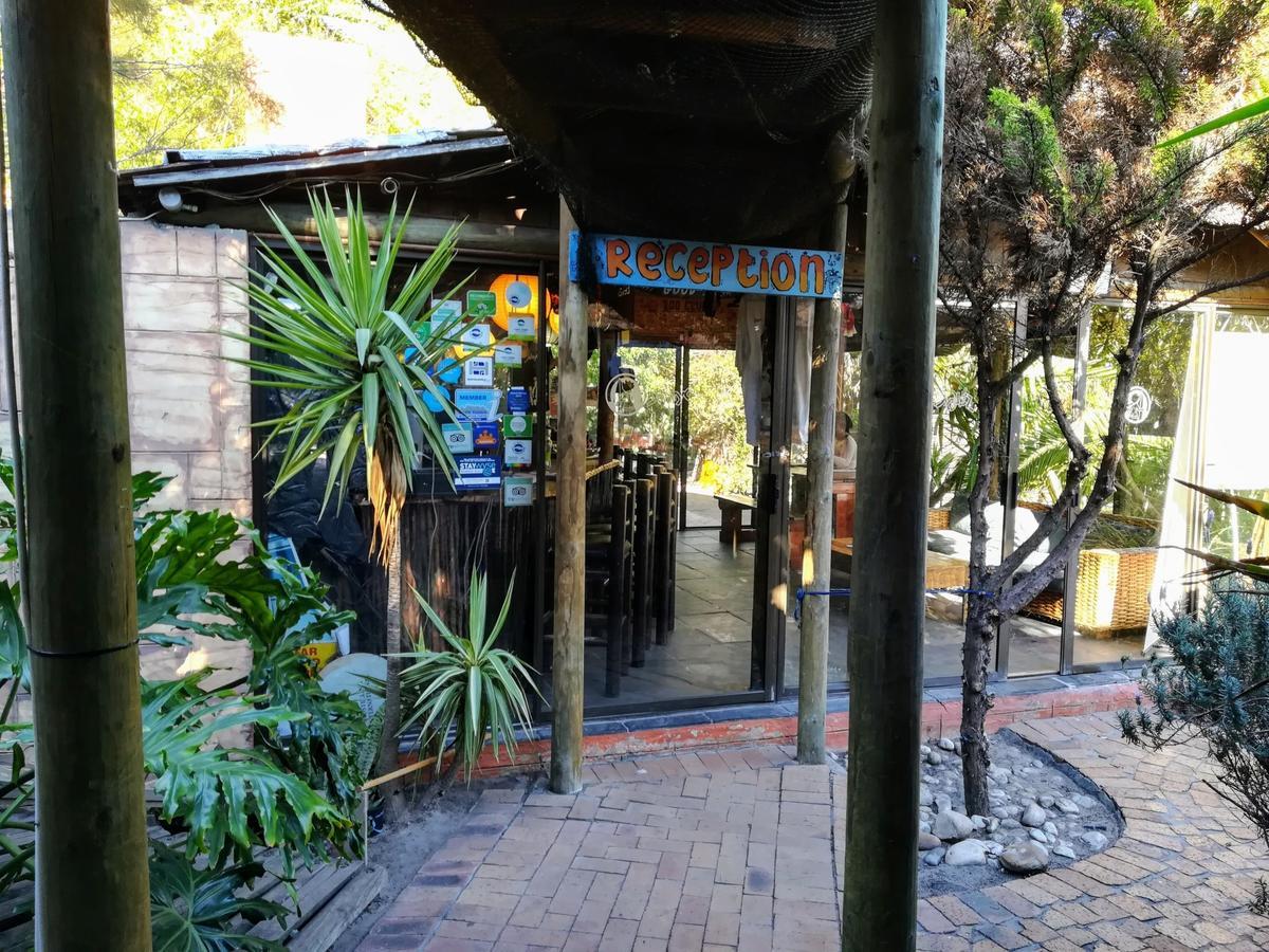 Saltycrax Backpackers And Surf Hostel By Curiocity Hostel Bloubergstrand